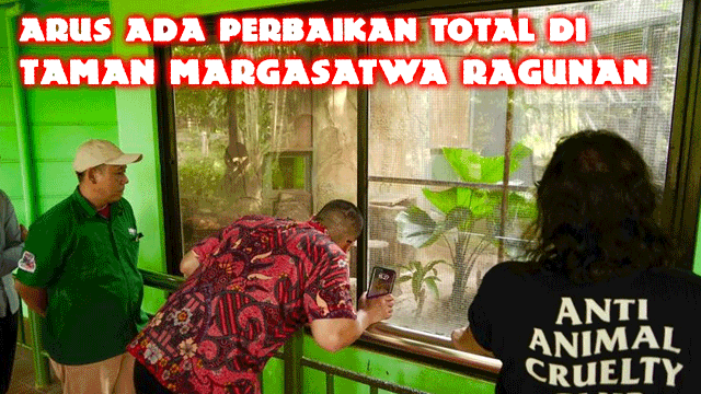 Harus Ada Perbaikan Total di Taman Margasatwa Ragunan