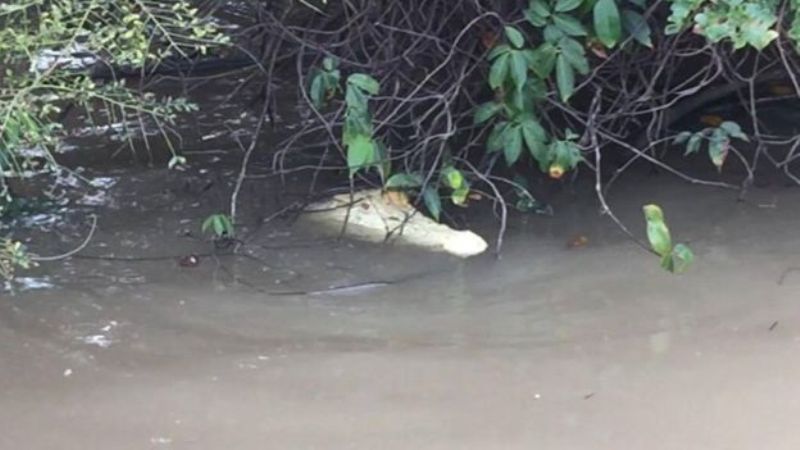 Mitos Bendungan Matras